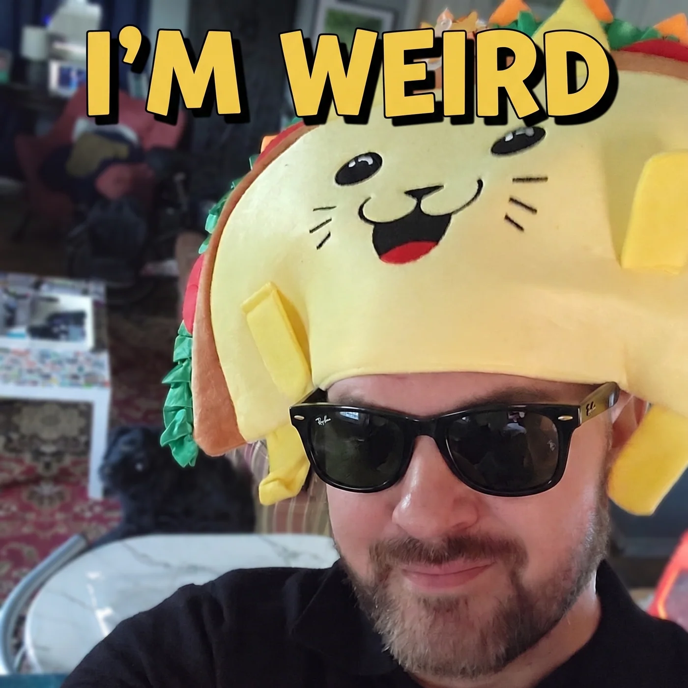 I'm Weird cover artwork